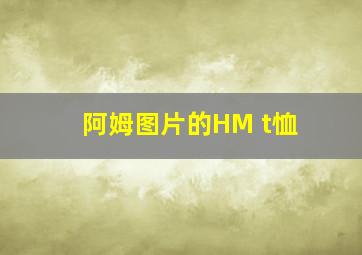 阿姆图片的HM t恤